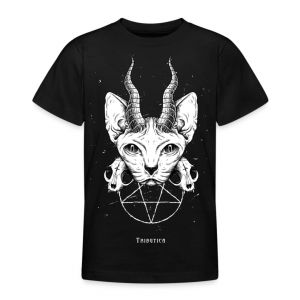 Evil Cat klassisches Teenager T-Shirt von Tributica Streetwear Unser aller Lieblingskleidungsstück ist auch bei Kindern und Teens weit vorn auf der Beliebtheitsskala. Ein unverzichtbares, robustes und qualitatives hochwertiges T-Shirt für Spielplatz, Schule und Sport.